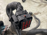 2003-04 Ford Mustang SVT Cobra ECU/PCM Harness 286