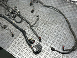 2003-04 Ford Mustang SVT Cobra OEM EFI/Injector Harness- for 4.6 4V S/C'd 286