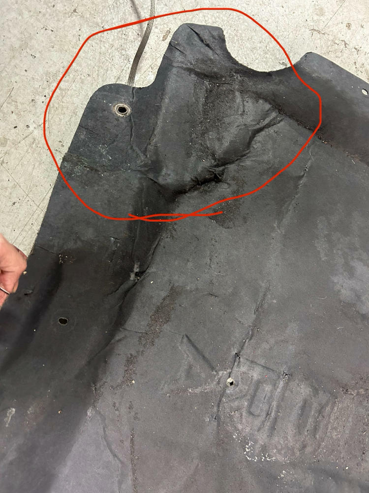2003-04 Ford Mustang SVT Cobra OEM Hood Insulator- NEEDS WORK 286