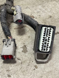 2003-04 Ford Mustang SVT Cobra Distribution Harness 287