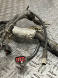 2003-04 Ford Mustang SVT Cobra EFI Engine Harness 287