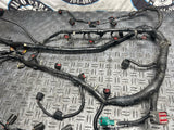 2003-04 Ford Mustang SVT Cobra EFI Harness 288
