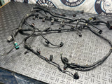 2003-04 Ford Mustang SVT Cobra EFI Harness 288