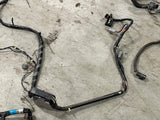 2003-04 Ford Mustang SVT Cobra Body Harness- FOR COUPE 288