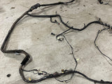 2003-04 Ford Mustang SVT Cobra Body Harness- FOR COUPE 288