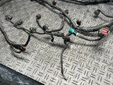 2003-04 Ford Mustang SVT Cobra EFI Harness 288
