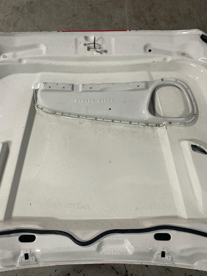 2018-23 Ford Mustang Cervini Ram Air Hood (Functional)- Paint Code YZ 279