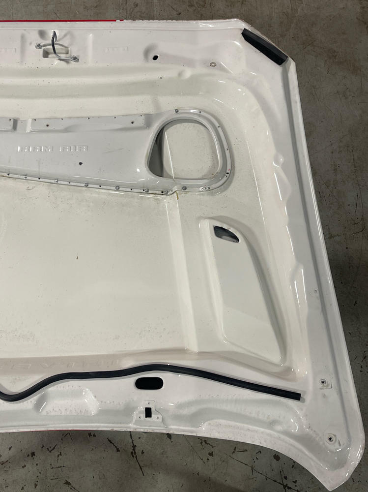 2018-23 Ford Mustang Cervini Ram Air Hood (Functional)- Paint Code YZ 279