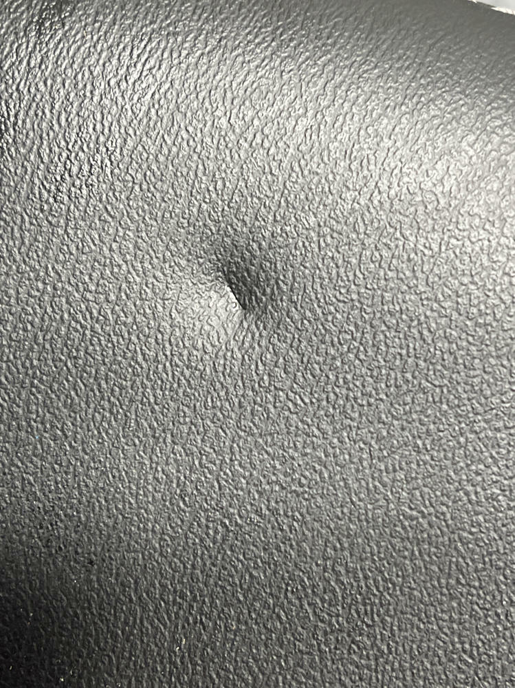2018-23 Ford Mustang Mach One OEM Leather Head Rest Pair 291