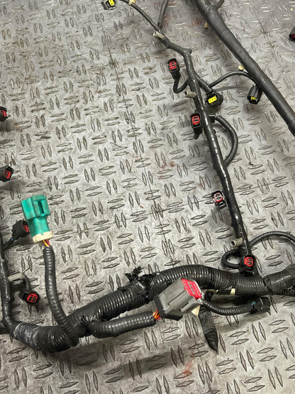 2003-04 Ford Mustang SVT Cobra OEM EFI Harness 292