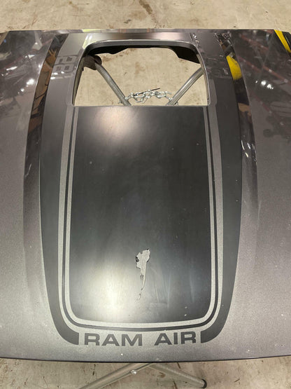 2003-04 Ford Mustang Mach One Hood & Shaker Set Up 19k Miles DSG Paint Code CX