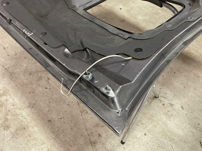 2003-04 Ford Mustang Mach One Hood & Shaker Set Up 19k Miles DSG Paint Code CX
