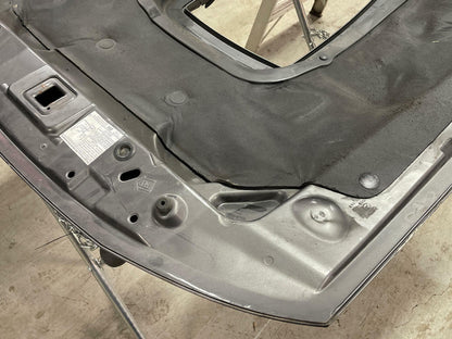 2003-04 Ford Mustang Mach One Hood & Shaker Set Up 19k Miles DSG Paint Code CX