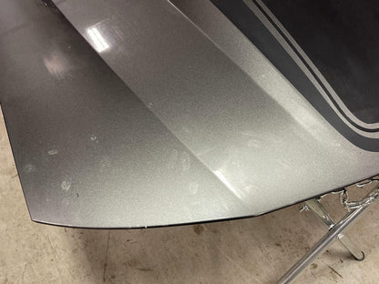 2003-04 Ford Mustang Mach One Hood & Shaker Set Up 19k Miles DSG Paint Code CX