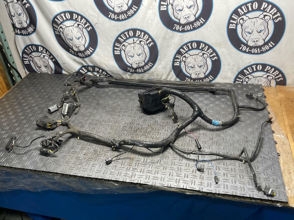 2003-04 Ford Mustang Mach One Engine Bay Distribution Harness- PARTS ONLY 296