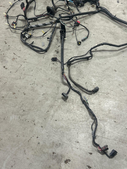 2003-04 Ford Mustang SVT Cobra Convertible Body Harness 295
