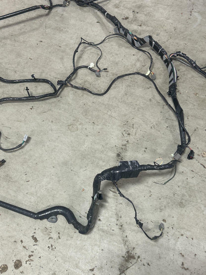 2003-04 Ford Mustang SVT Cobra Convertible Body Harness 295
