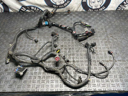 2003-04 Ford Mustang SVT Cobra ECU/PCM Harness 36k Miles 305