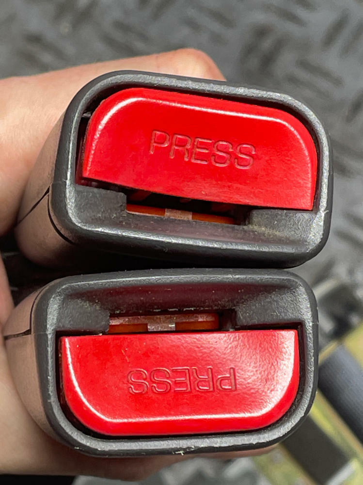 2003-04 Ford Mustang SVT Cobra Coupe Rear Seat Belts Pair LH RH 36k Miles 305