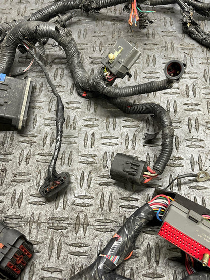 2003-04 Ford Mustang SVT Cobra ECU/PCM Harness- PARTS ONLY 304