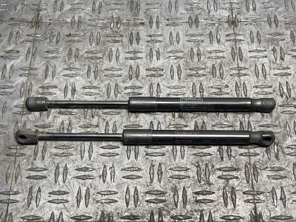 2018-23 Ford Mustang Mach One OEM Trunk Struts Pair 299
