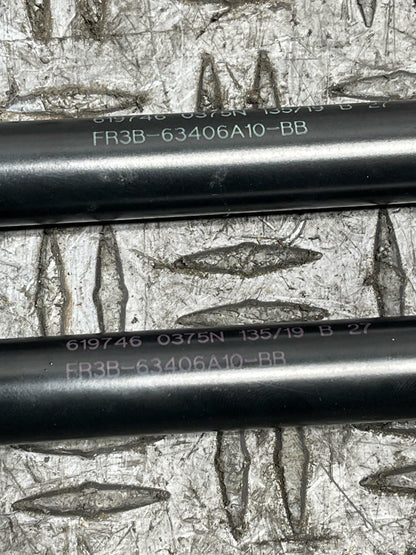 2018-23 Ford Mustang Mach One OEM Trunk Struts Pair 299
