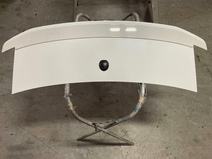 2011-14 Ford Mustang GT Rear Deck Lid & Spoiler (Paint Code HP) 294