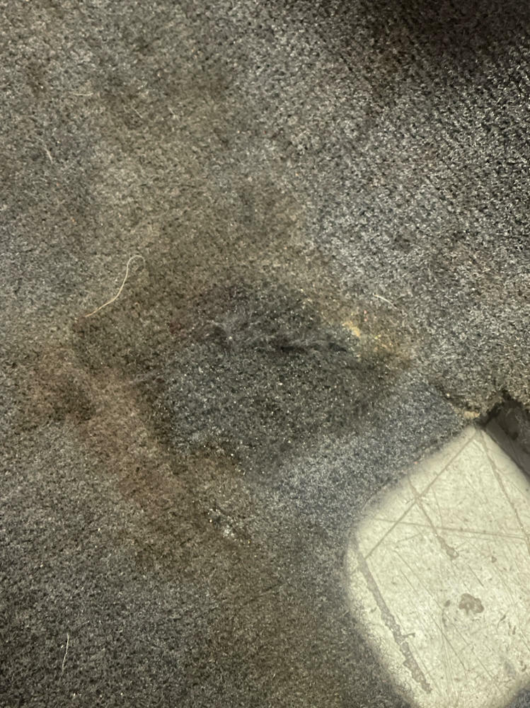 2011-14 Ford Mustang OEM Coupe Carpet 61k Miles 294