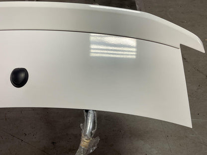 2011-14 Ford Mustang GT Rear Deck Lid & Spoiler (Paint Code HP) 294