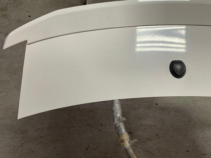 2011-14 Ford Mustang GT Rear Deck Lid & Spoiler (Paint Code HP) 294