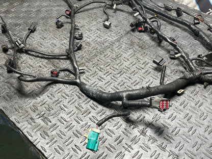 2003-04 Ford Mustang SVT Cobra EFI Fuel Injection Harness 13K Miles 308