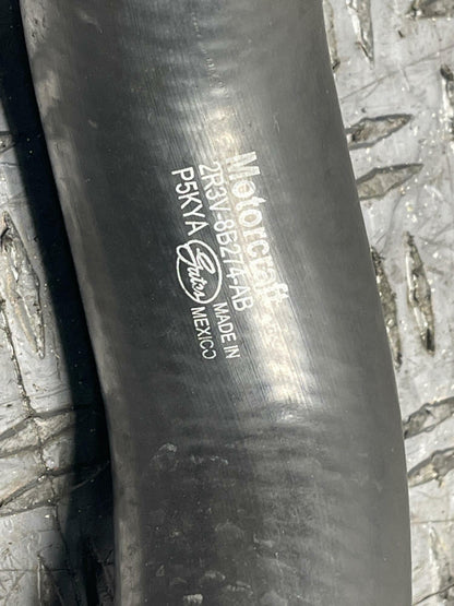2003-04 Ford Mustang SVT Cobra OEM Coolant Hose lot 308