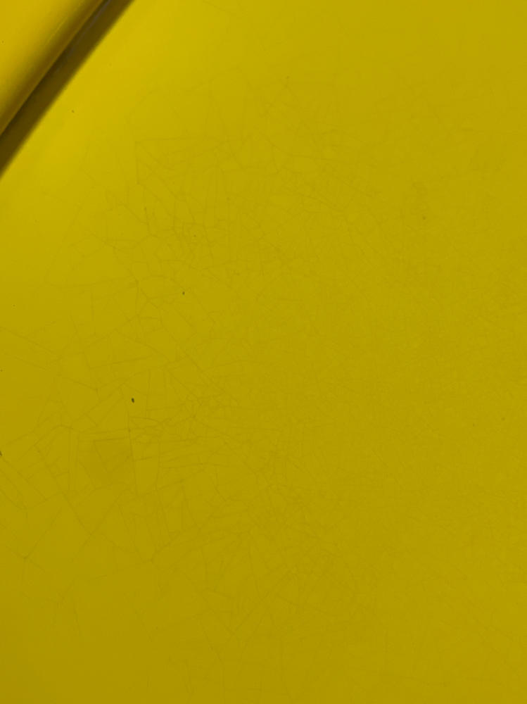 2003-04 Ford Mustang SVT Cobra Screaming Yellow Decklid 314