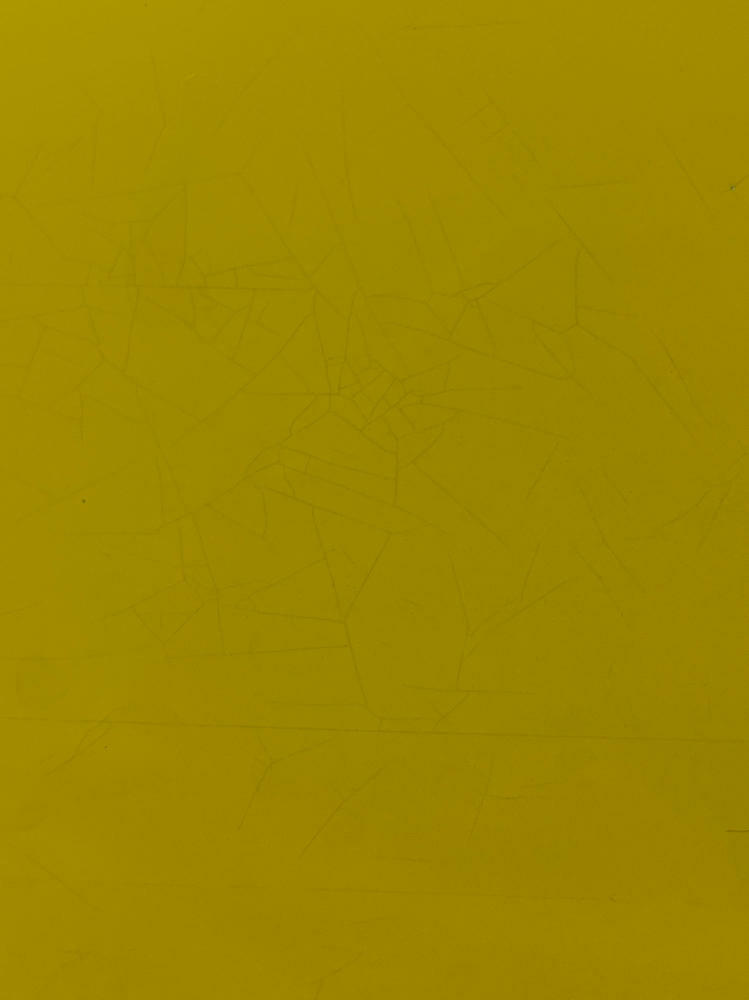 2003-04 Ford Mustang SVT Cobra Screaming Yellow Decklid 314