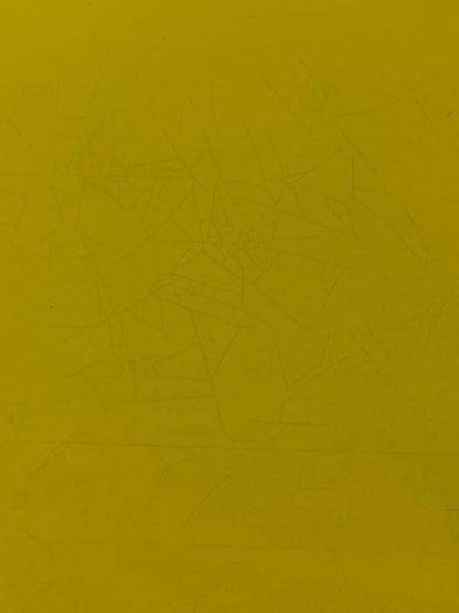 2003-04 Ford Mustang SVT Cobra Screaming Yellow Decklid 314