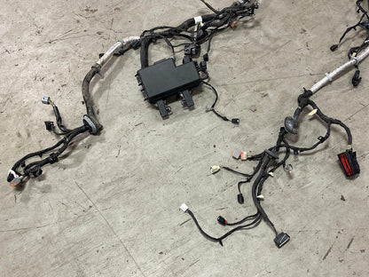 2015-17 Ford Mustang GT Engine Bay Distribution Harness (NEEDS REPAIR) 317