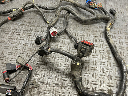 2003-04 Ford Mustang SVT Cobra PCM ECU Harness- PARTS ONLY 318