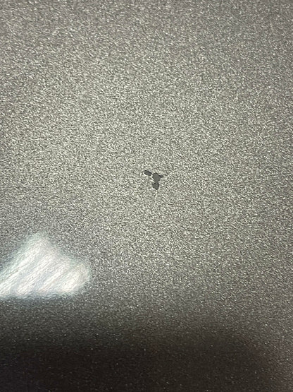 1999-04 Ford Mustang Passenger RH Door Paint Mineral Gray Code TK 302