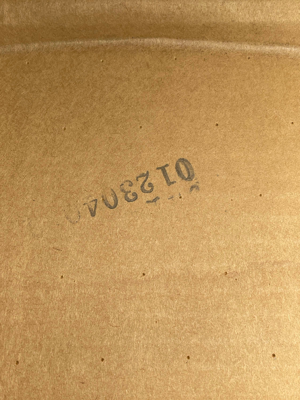 2003-04 Ford Mustang SVT Cobra Headliner 315
