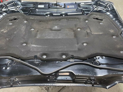 2015-17 Ford Mustang GT OEM Hood See Description 317