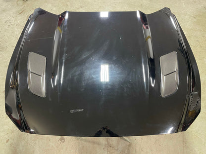 2015-17 Ford Mustang GT OEM Hood See Description 317