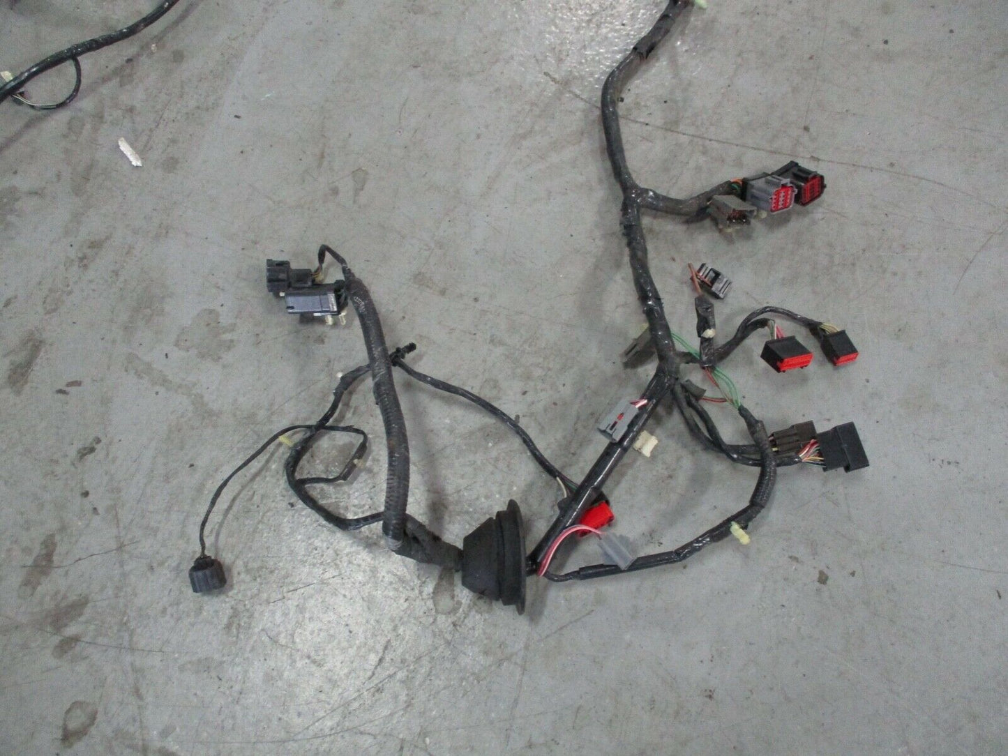 2002-04 Ford Mustang GT Coupe Body Wiring Harness Saleen S281 081